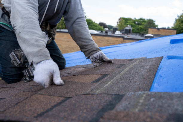 Best New Roof Installation  in Columbia City, IN